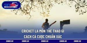 Cricket Là Môn Thể Thao Gì – Cách Cá Cược Chuẩn Xác
