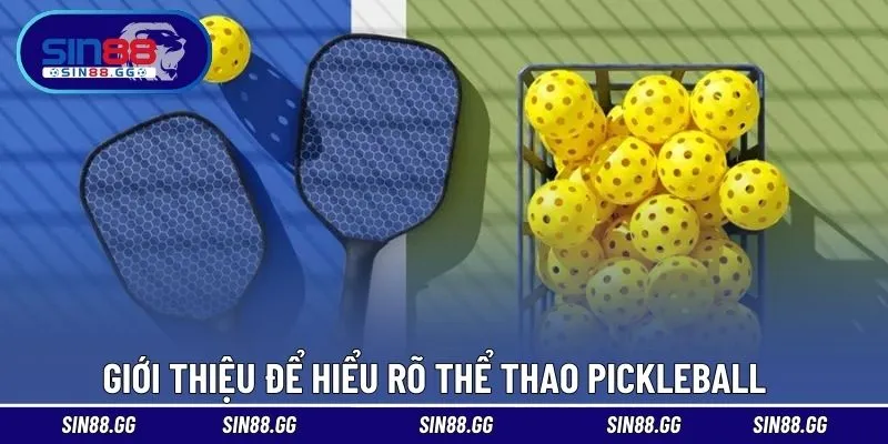 Tìm hiểu thể thao pickleball là gì?